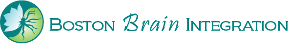 Boston Brain Integration