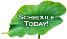 Schedule Today!